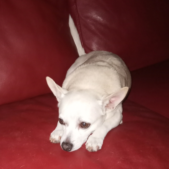 A variety of items - Picture 4 of 4